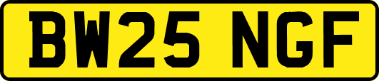 BW25NGF