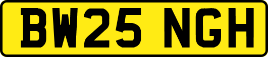 BW25NGH