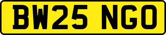 BW25NGO