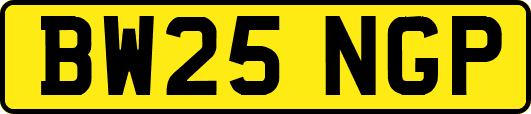BW25NGP