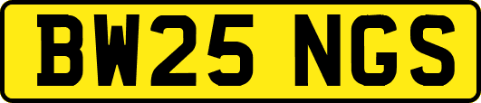 BW25NGS