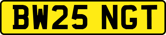 BW25NGT