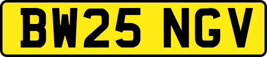 BW25NGV