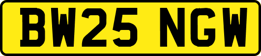 BW25NGW