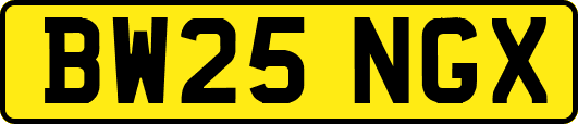 BW25NGX