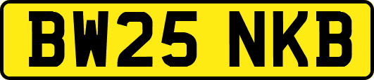 BW25NKB