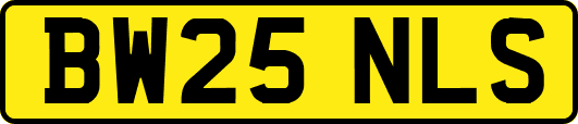 BW25NLS