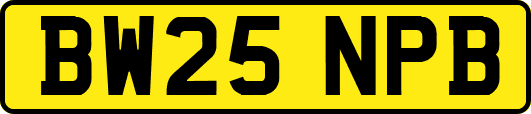 BW25NPB