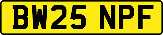 BW25NPF