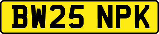 BW25NPK