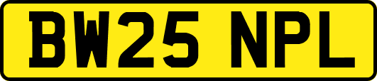 BW25NPL