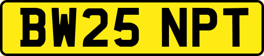 BW25NPT