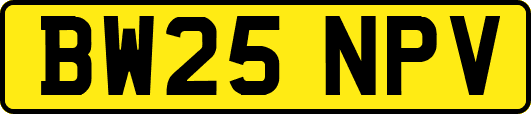 BW25NPV