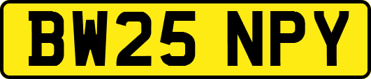 BW25NPY