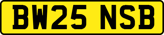 BW25NSB