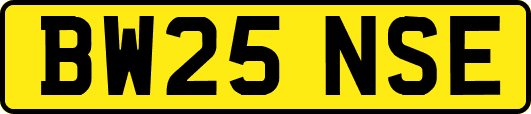 BW25NSE