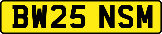 BW25NSM