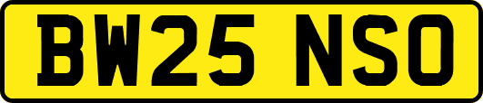 BW25NSO