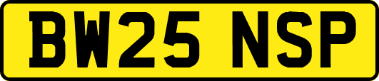 BW25NSP