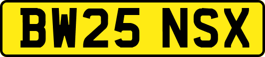 BW25NSX