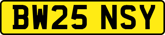 BW25NSY