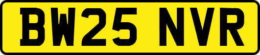 BW25NVR