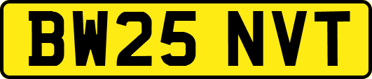 BW25NVT
