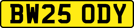 BW25ODY