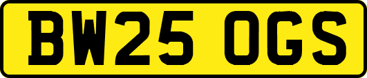 BW25OGS