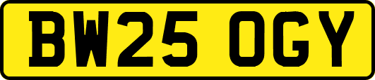 BW25OGY