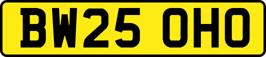 BW25OHO