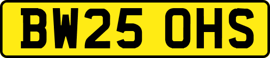 BW25OHS