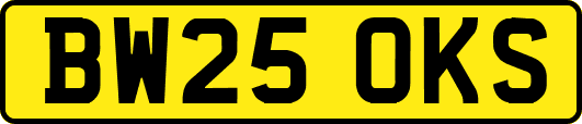 BW25OKS