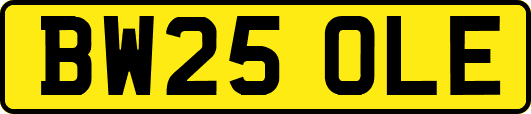 BW25OLE