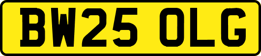 BW25OLG