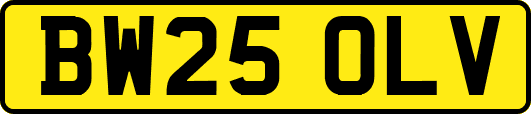 BW25OLV