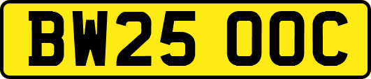 BW25OOC