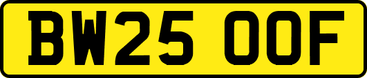 BW25OOF