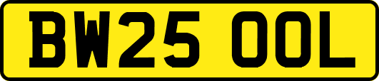 BW25OOL