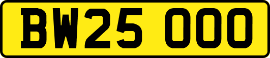 BW25OOO