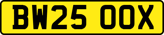 BW25OOX