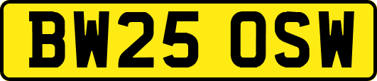 BW25OSW