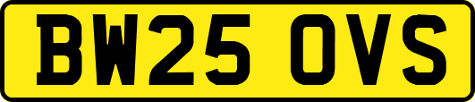 BW25OVS