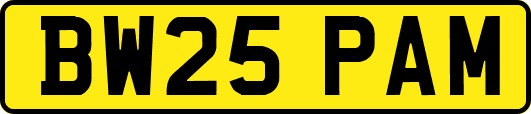 BW25PAM
