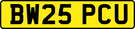 BW25PCU