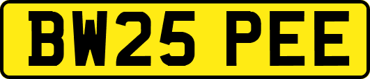 BW25PEE