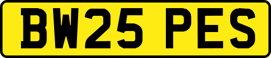 BW25PES