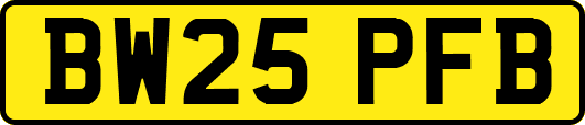 BW25PFB