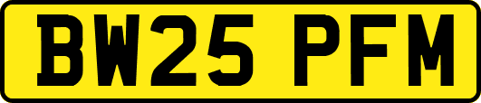 BW25PFM