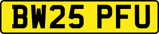BW25PFU